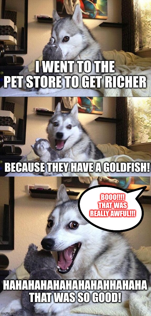 Bad Pun Dog | I WENT TO THE PET STORE TO GET RICHER; BECAUSE THEY HAVE A GOLDFISH! BOOO!!!! THAT WAS REALLY AWFUL!!! HAHAHAHAHAHAHAHAHHAHAHA THAT WAS SO GOOD! | image tagged in memes,bad pun dog | made w/ Imgflip meme maker