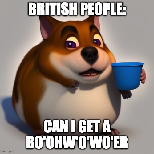 Da Hamsta Dog | BRITISH PEOPLE:; CAN I GET A BO'OHW'O'WO'ER | image tagged in funny memes | made w/ Imgflip meme maker