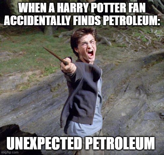 Harry potter | WHEN A HARRY POTTER FAN ACCIDENTALLY FINDS PETROLEUM:; UNEXPECTED PETROLEUM | image tagged in harry potter | made w/ Imgflip meme maker