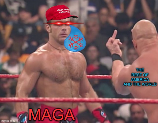 HBK And Austin Flip Off | THE REST OF AMERICA AND THE WORLD; MAGA | image tagged in hbk and austin flip off | made w/ Imgflip meme maker