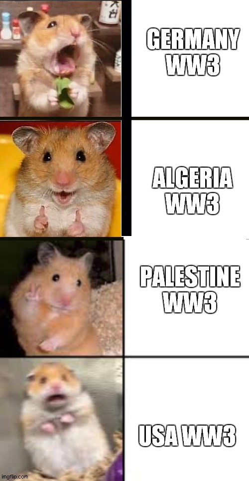 country of ww3 (hamster) | GERMANY
WW3; ALGERIA WW3; PALESTINE WW3; USA WW3 | image tagged in hamster bad and good,scared hamster | made w/ Imgflip meme maker