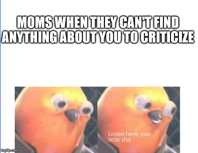 fr | MOMS WHEN THEY CAN'T FIND ANYTHING ABOUT YOU TO CRITICIZE | image tagged in listen here you little shit,moms,criticism | made w/ Imgflip meme maker