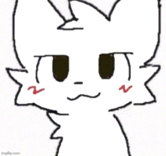 That one furry image better quality | image tagged in that one furry image better quality | made w/ Imgflip meme maker