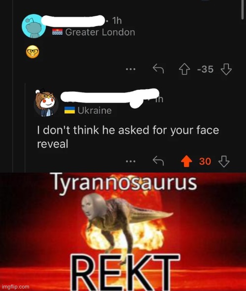Best comeback of the month | image tagged in tyrannosaurus rekt,rare,insults,funny | made w/ Imgflip meme maker