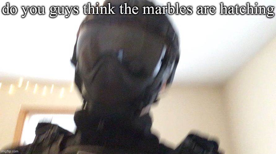 do you guys think the marbles are hatching | image tagged in face of man | made w/ Imgflip meme maker