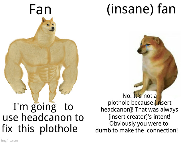 Two kinds of fans | Fan; (insane) fan; No! It's not a plothole because [insert headcanon]! That was always [insert creator]'s intent! Obviously you were to  dumb to make the  connection! I'm going   to use headcanon to fix  this  plothole | image tagged in memes,buff doge vs cheems | made w/ Imgflip meme maker