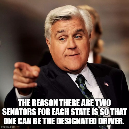 It takes one to know one... | THE REASON THERE ARE TWO SENATORS FOR EACH STATE IS SO THAT ONE CAN BE THE DESIGNATED DRIVER. | image tagged in jay leno,memes | made w/ Imgflip meme maker