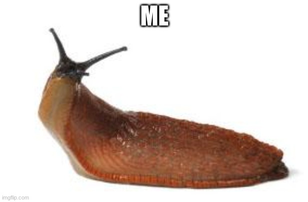 slug life | ME | image tagged in slug life | made w/ Imgflip meme maker