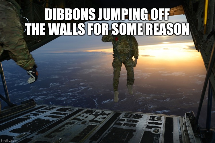 Why do they do this every book | DIBBONS JUMPING OFF THE WALLS FOR SOME REASON | image tagged in army soldier jumping out of plane | made w/ Imgflip meme maker