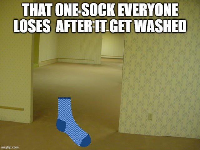 the backrooms sock | THAT ONE SOCK EVERYONE LOSES  AFTER IT GET WASHED | image tagged in the backrooms | made w/ Imgflip meme maker