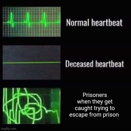 Prisoners | Prisoners when they get caught trying to escape from prison | image tagged in heartbeat rate,prisoners,prisoner,prison,memes,caught | made w/ Imgflip meme maker