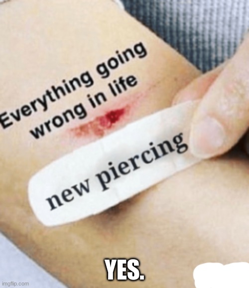 real. | YES. | image tagged in memes,piercings | made w/ Imgflip meme maker