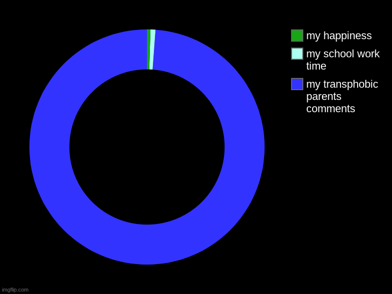 my transphobic parents comments, my school work time, my happiness | image tagged in charts,donut charts | made w/ Imgflip chart maker