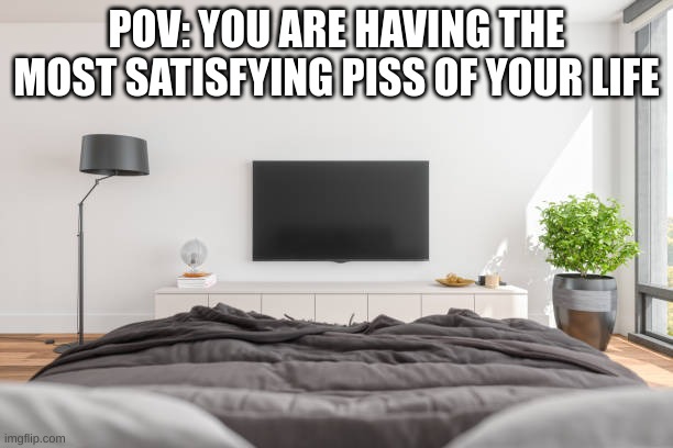 OH NO | POV: YOU ARE HAVING THE MOST SATISFYING PISS OF YOUR LIFE | image tagged in fun,meme,relatable | made w/ Imgflip meme maker