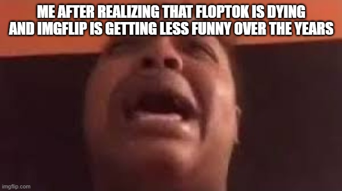 lovely peaches cry | ME AFTER REALIZING THAT FLOPTOK IS DYING AND IMGFLIP IS GETTING LESS FUNNY OVER THE YEARS | image tagged in lovely peaches cry | made w/ Imgflip meme maker