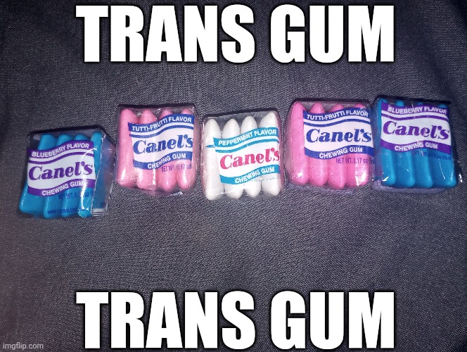 TRANS GUM | TRANS GUM; TRANS GUM | image tagged in transgender,trans,funny,gum | made w/ Imgflip meme maker