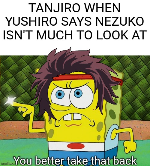 I got mad too. | TANJIRO WHEN YUSHIRO SAYS NEZUKO ISN'T MUCH TO LOOK AT | image tagged in you better take that back | made w/ Imgflip meme maker