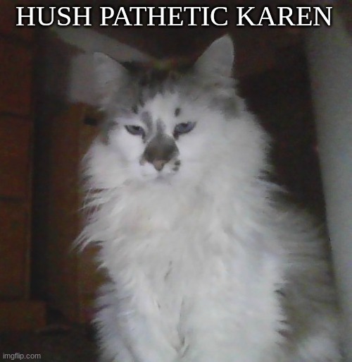 HUSH PATHETIC KAREN | made w/ Imgflip meme maker