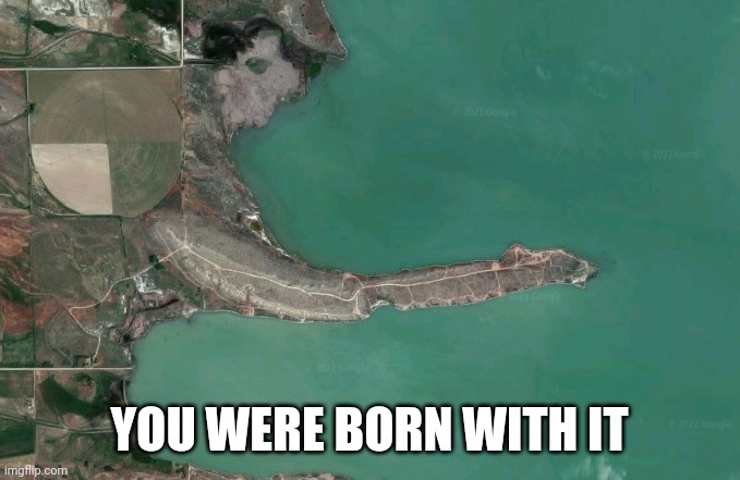 peninsula | YOU WERE BORN WITH IT | image tagged in peninsula | made w/ Imgflip meme maker