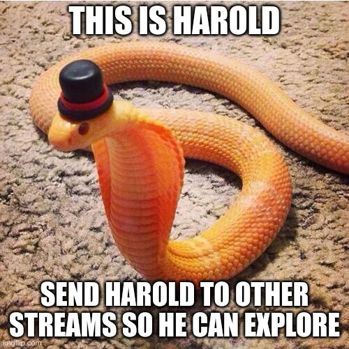 send him places | THIS IS HAROLD; SEND HAROLD TO OTHER STREAMS SO HE CAN EXPLORE | image tagged in dapper snek | made w/ Imgflip meme maker