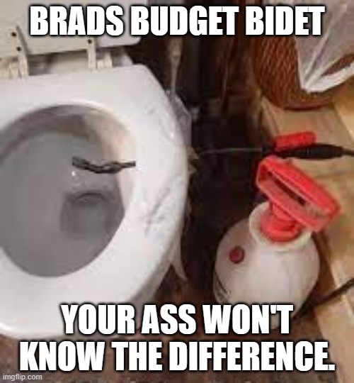 Meme by Brad bidet | BRADS BUDGET BIDET; YOUR ASS WON'T KNOW THE DIFFERENCE. | image tagged in toilet | made w/ Imgflip meme maker