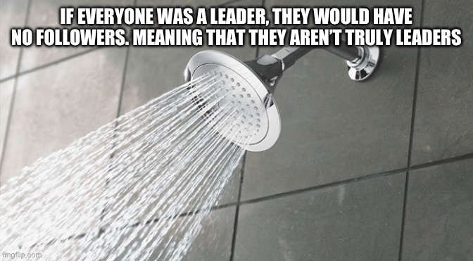 Makes sense right? | IF EVERYONE WAS A LEADER, THEY WOULD HAVE NO FOLLOWERS. MEANING THAT THEY AREN’T TRULY LEADERS | image tagged in shower thoughts | made w/ Imgflip meme maker