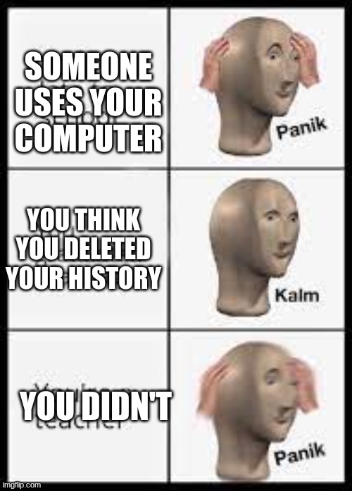 When someone uses your computer | SOMEONE USES YOUR COMPUTER; YOU THINK YOU DELETED YOUR HISTORY; YOU DIDN'T | image tagged in memes | made w/ Imgflip meme maker
