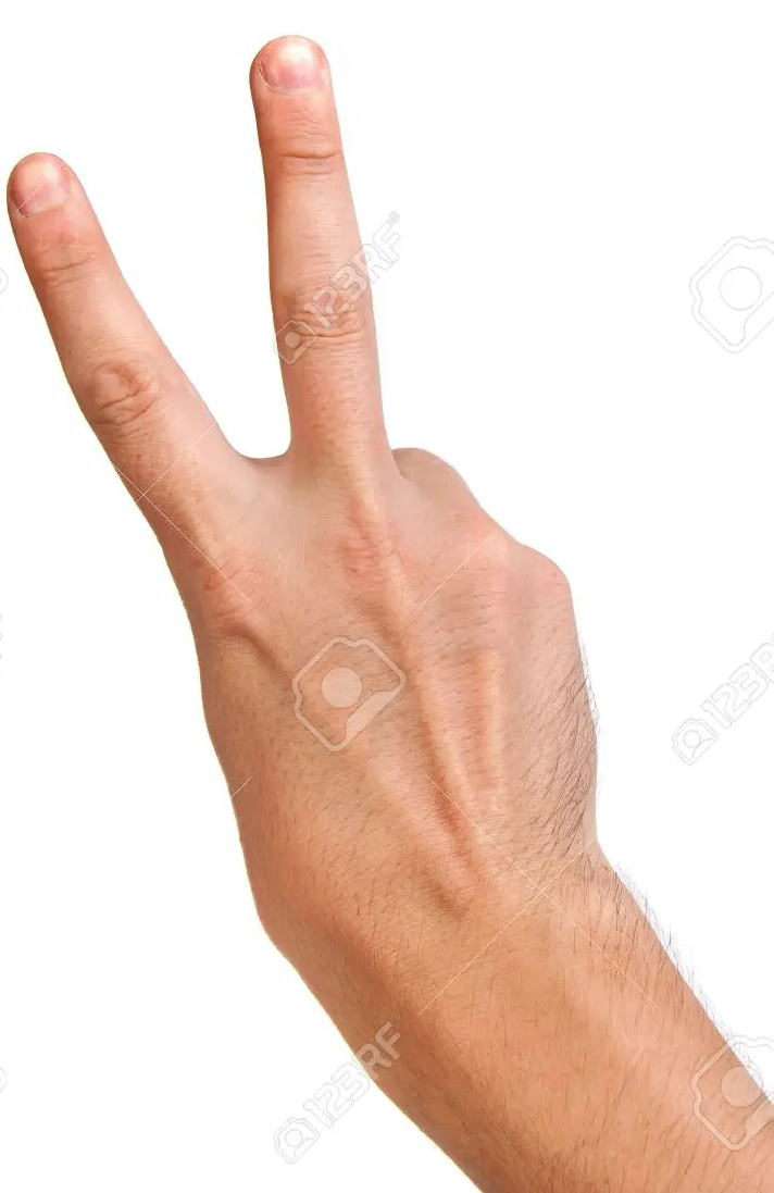 High Quality british two finger gesture Blank Meme Template