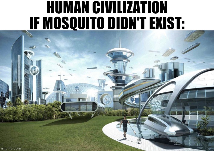 Killed 10 mosquito inside mosquito net ? | HUMAN CIVILIZATION IF MOSQUITO DIDN'T EXIST: | image tagged in the future world if,mosquito | made w/ Imgflip meme maker