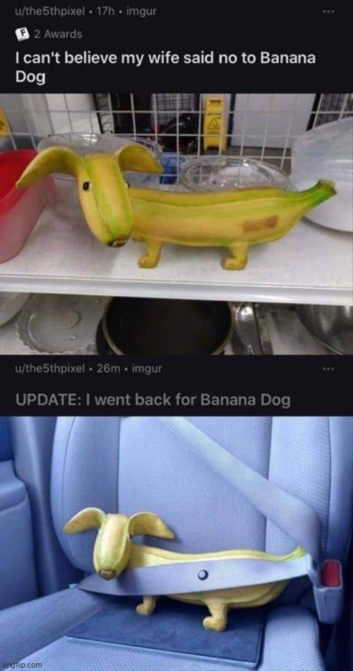 Banana Dog | image tagged in memes,funny | made w/ Imgflip meme maker