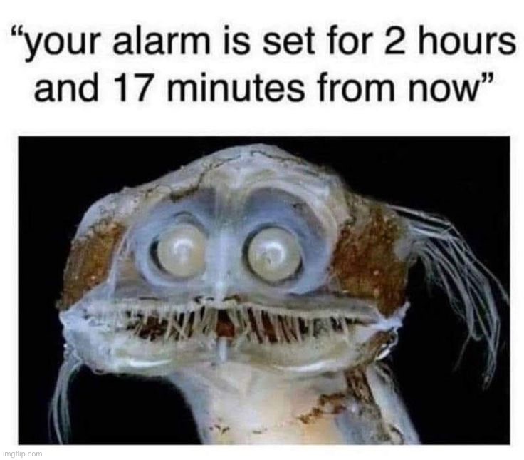 image tagged in memes | made w/ Imgflip meme maker