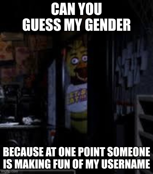 Chica Looking In Window FNAF | CAN YOU GUESS MY GENDER; BECAUSE AT ONE POINT SOMEONE IS MAKING FUN OF MY USERNAME | image tagged in chica looking in window fnaf | made w/ Imgflip meme maker