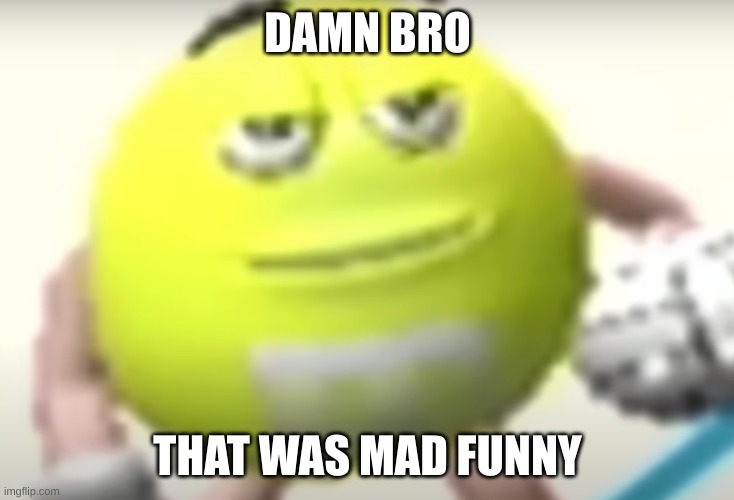 Bro that was mad funny | DAMN BRO THAT WAS MAD FUNNY | image tagged in bro that was mad funny | made w/ Imgflip meme maker