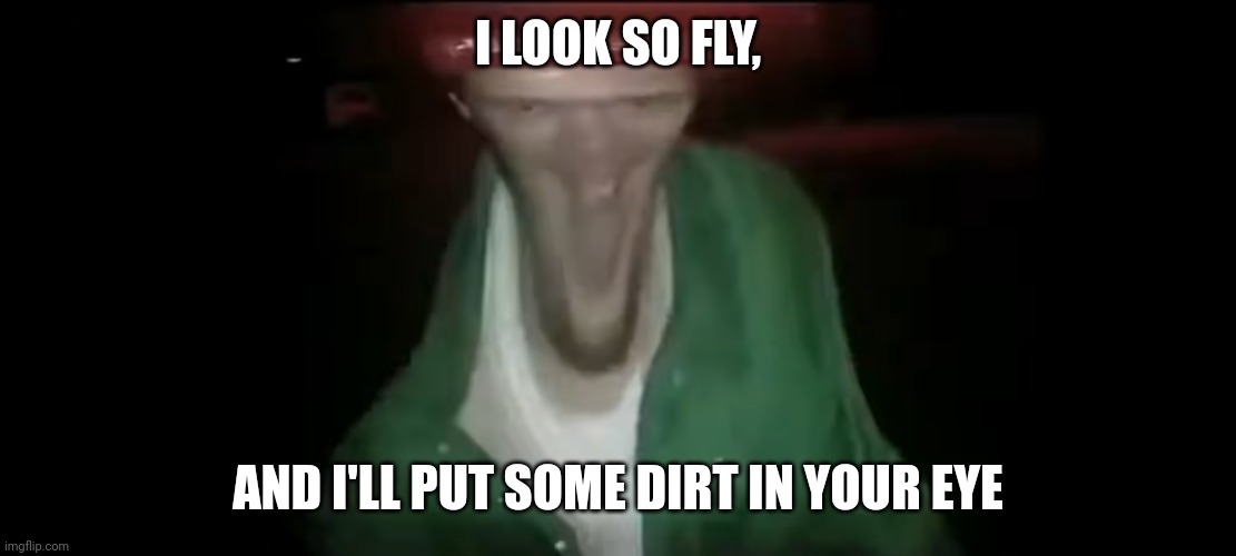 Quik reps | I LOOK SO FLY, AND I'LL PUT SOME DIRT IN YOUR EYE | image tagged in this guy,rap | made w/ Imgflip meme maker