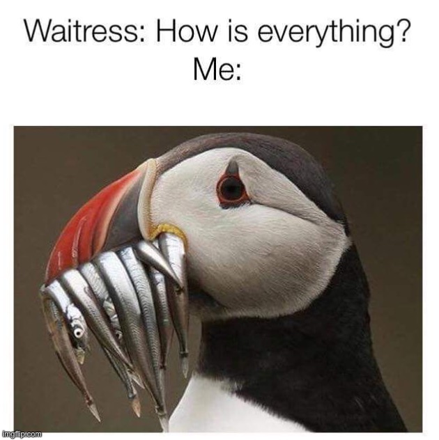 image tagged in memes,funny | made w/ Imgflip meme maker
