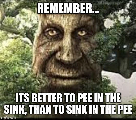 A wise tree once said... | REMEMBER... ITS BETTER TO PEE IN THE SINK, THAN TO SINK IN THE PEE | image tagged in wise mytical tree,pee | made w/ Imgflip meme maker