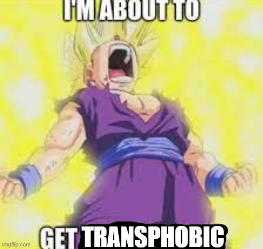 High Quality IM ABOUT TO GET TRANSPHOBIC Blank Meme Template