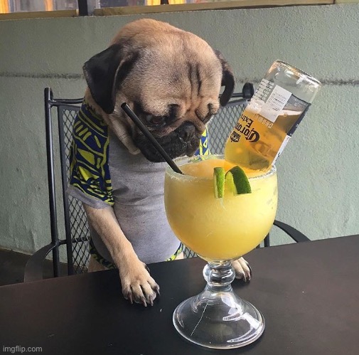Zad | image tagged in waiting for the weekend like | made w/ Imgflip meme maker