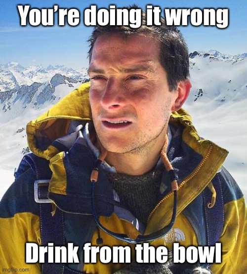 Bear Grylls Meme | You’re doing it wrong Drink from the bowl | image tagged in memes,bear grylls | made w/ Imgflip meme maker