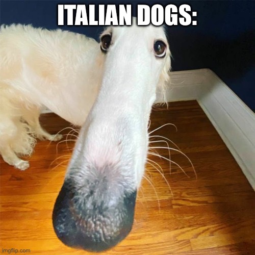 Let me do it for you... | ITALIAN DOGS: | image tagged in let me do it for you | made w/ Imgflip meme maker