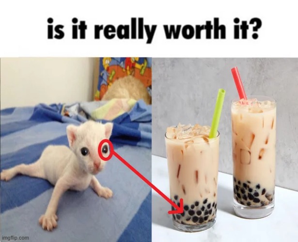 Is it really worth it? | made w/ Imgflip meme maker