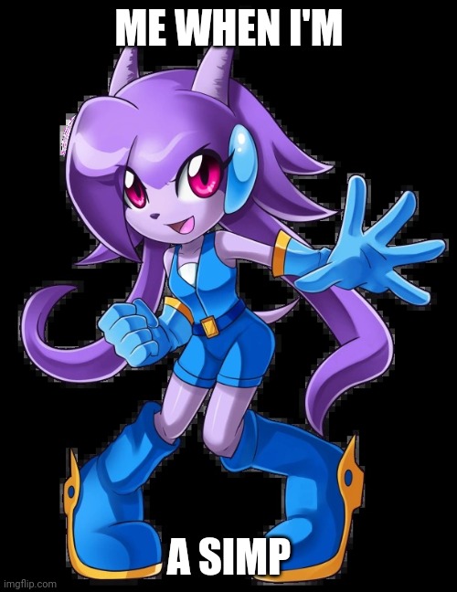 Lilac2 | ME WHEN I'M; A SIMP | image tagged in lilac from freedom planet | made w/ Imgflip meme maker