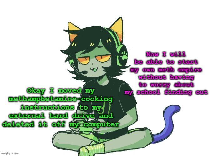 fuck you, here's nepeta gaming | Now I will be able to start my own meth empire without having to worry about my school finding out; Okay I moved my methamphetamine-cooking instructions to my external hard drive and deleted it off my computer | image tagged in nepeta gaming | made w/ Imgflip meme maker