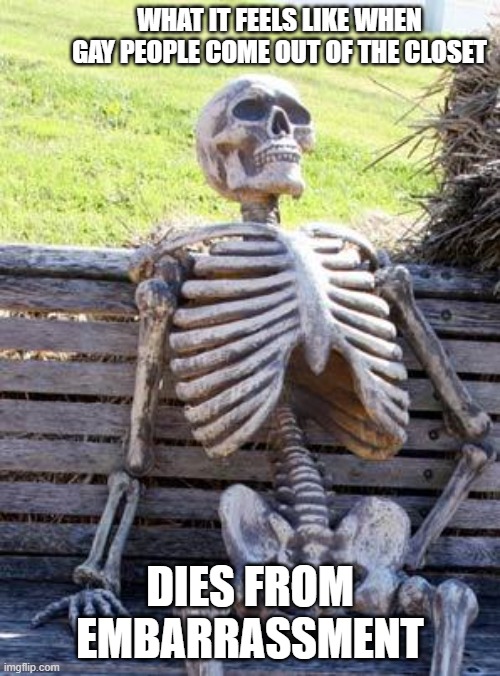 meme101 | WHAT IT FEELS LIKE WHEN GAY PEOPLE COME OUT OF THE CLOSET; DIES FROM EMBARRASSMENT | image tagged in memes,waiting skeleton | made w/ Imgflip meme maker