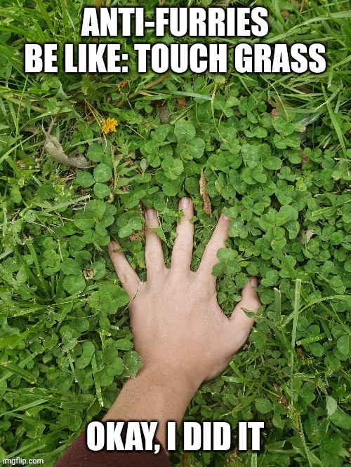 And yet they tell us to touch grass - Imgflip