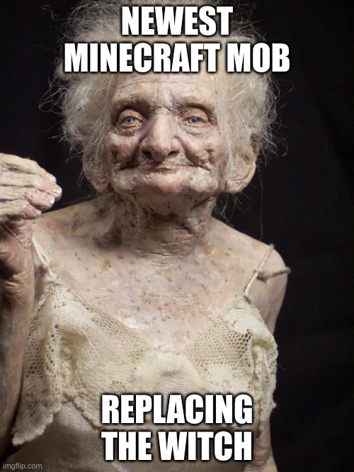 *dirt punching sounds* | NEWEST MINECRAFT MOB; REPLACING THE WITCH | image tagged in minecraft,funny memes,why are you reading this | made w/ Imgflip meme maker