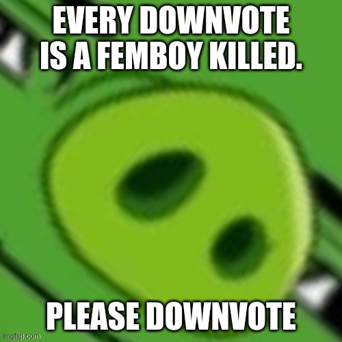 yes | EVERY DOWNVOTE IS A FEMBOY KILLED. PLEASE DOWNVOTE | image tagged in yes | made w/ Imgflip meme maker