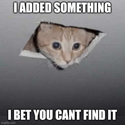 Ceiling Cat | I ADDED SOMETHING; I BET YOU CANT FIND IT | image tagged in memes,ceiling cat | made w/ Imgflip meme maker