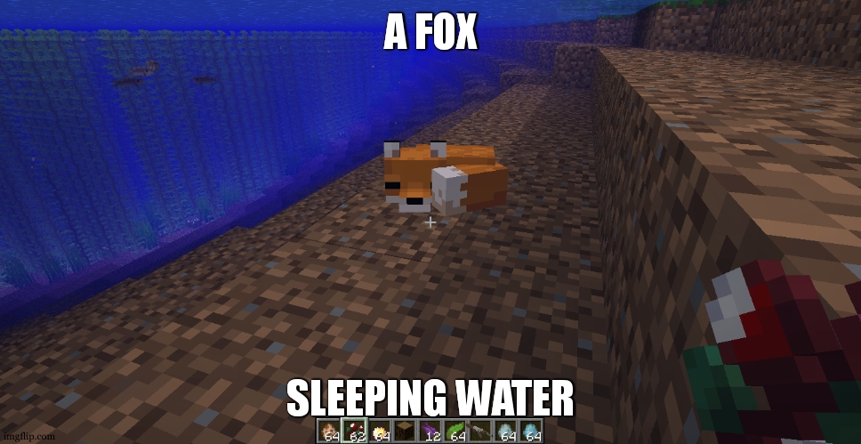 Deep thought Minecraft Fox | A FOX SLEEPING WATER | image tagged in fox in the water | made w/ Imgflip meme maker