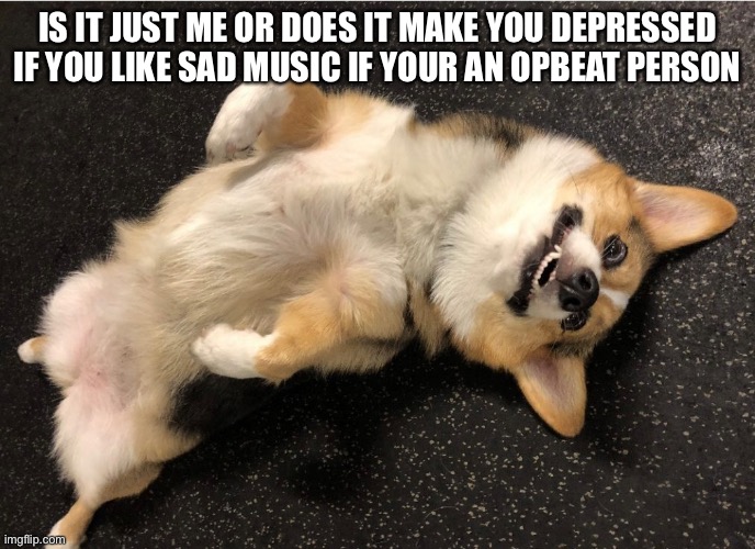 My friend likes and she said she’s pretty sure she’s depressed | IS IT JUST ME OR DOES IT MAKE YOU DEPRESSED IF YOU LIKE SAD MUSIC IF YOUR AN OPBEAT PERSON | image tagged in funny | made w/ Imgflip meme maker